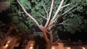 Un árbol con un patio bien iluminado, mobiliario exterior y un muro de piedra.