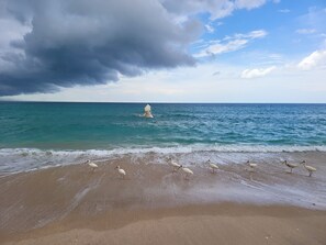 On the beach, sun-loungers, beach towels