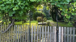 Puinen aita, jonka takana on puutarha, jossa on vihreää kasvillisuutta ja pieni rakennelma.