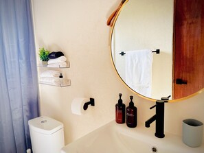 Hair dryer, towels, soap, toilet paper
