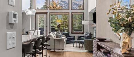 TV, fireplace