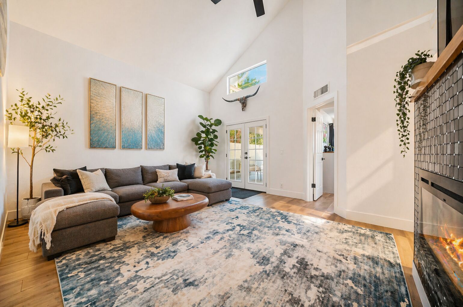 Smart TV, fireplace, books, stereo