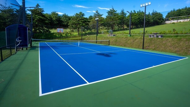 Sportveld