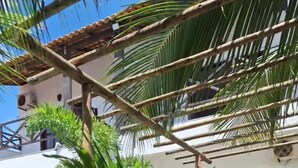 Un patio con mesa y sillas, rodeado de vegetación y una piscina.