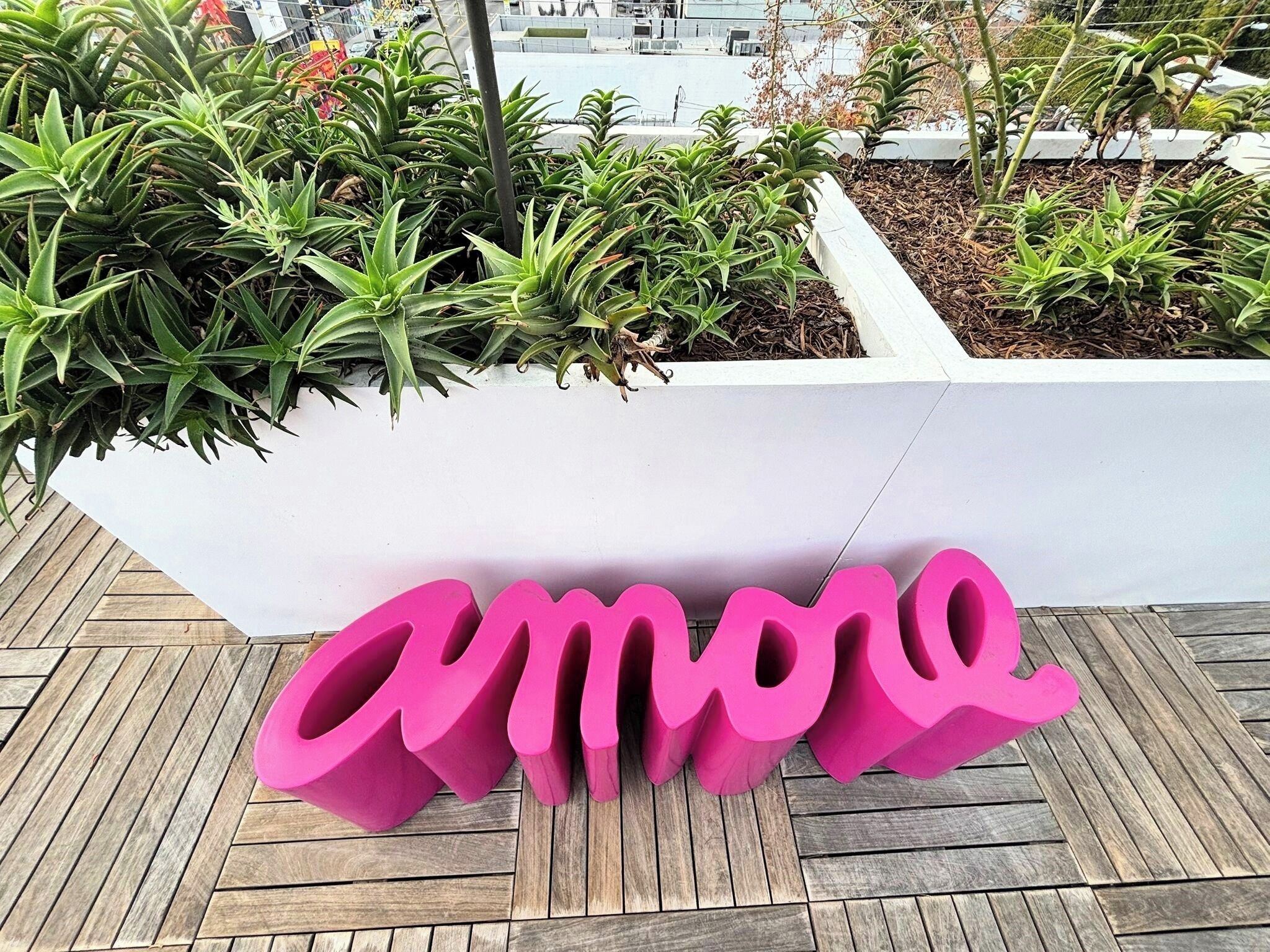 A planter with green plants and a pink sign with the word "amore" on a wooden deck.