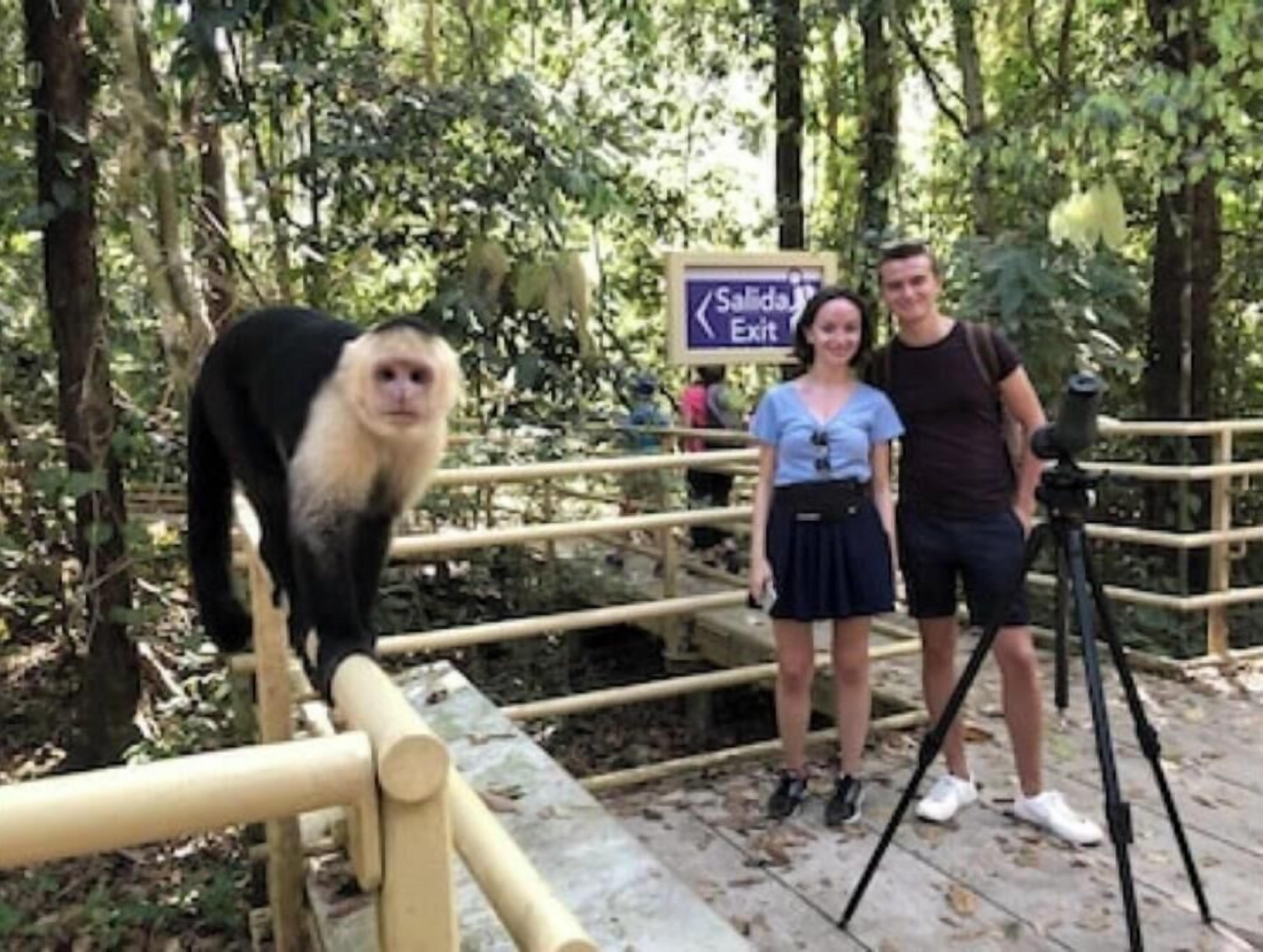 A monkey standing on a wooden bridge with railings, a sign indicating an exit, and a camera on a tripod.