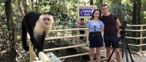 A monkey standing on a wooden bridge with railings, a sign indicating an exit, and a camera on a tripod.
