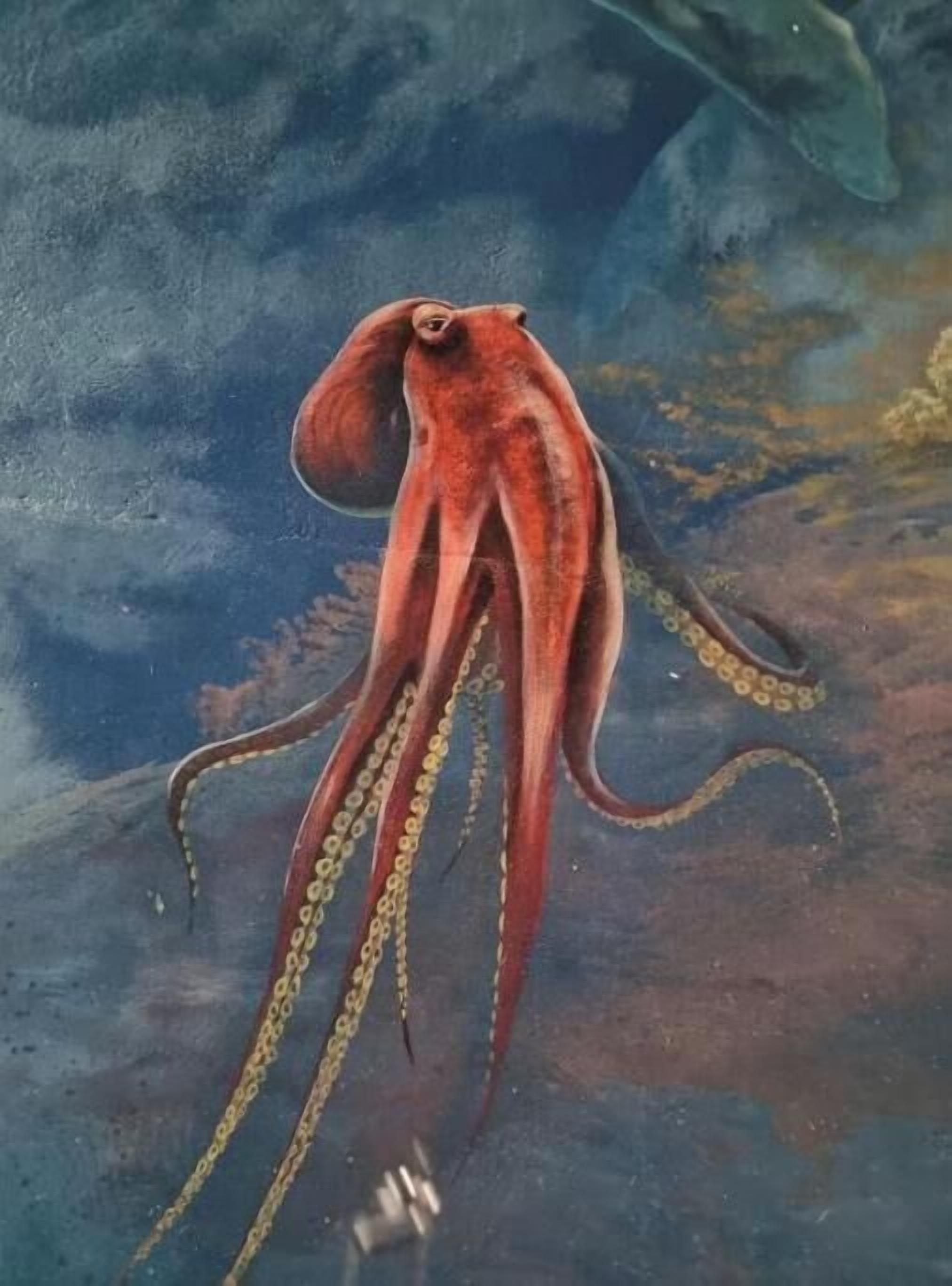 A painting of a red octopus with long tentacles.