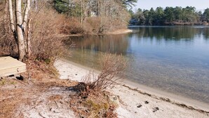 Et sølandskab med sandstrand, træer og en klar himmel.