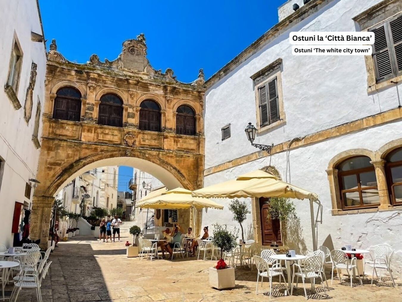 Opções para refeição ao ar livre