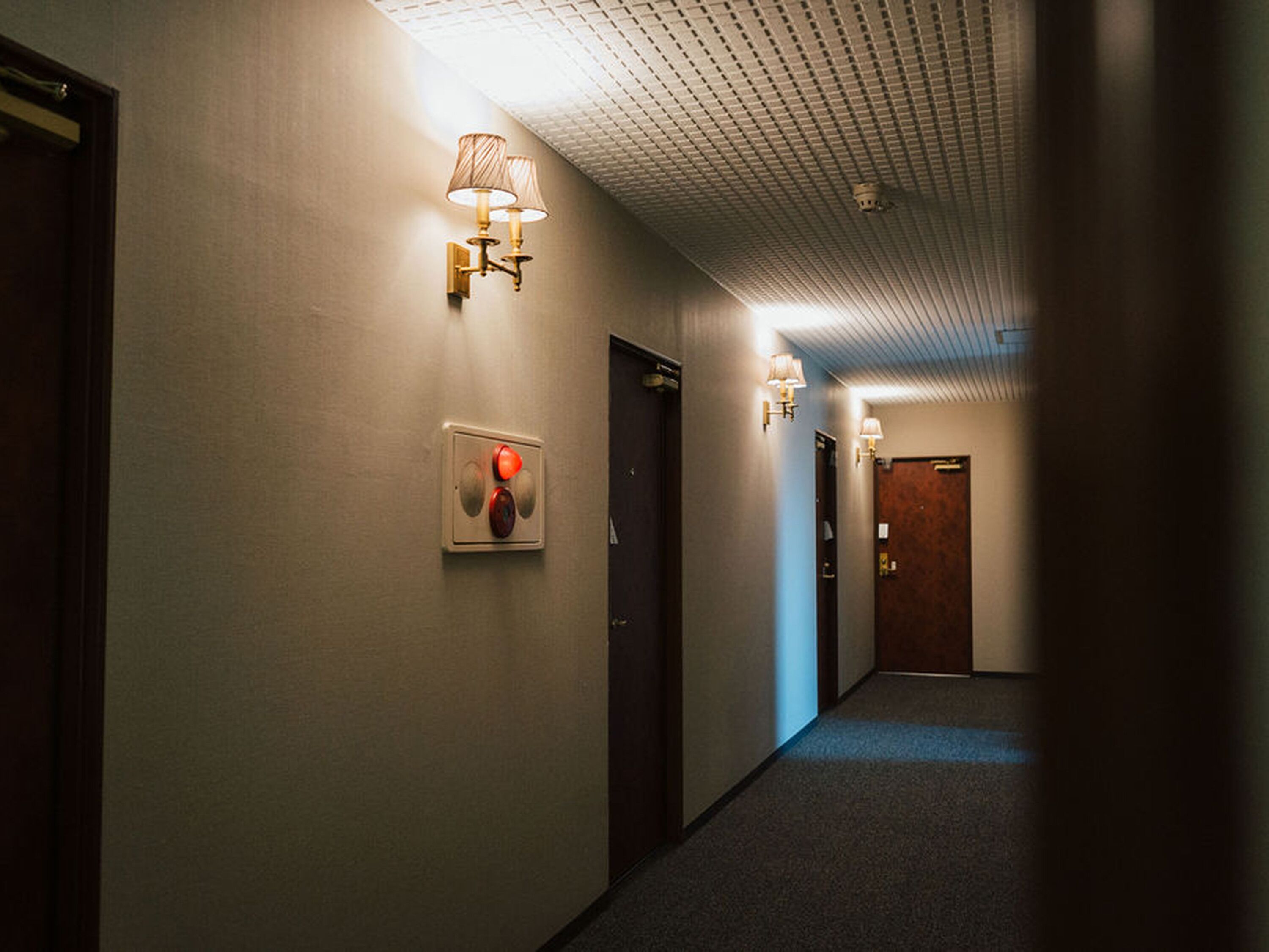 A hallway with a ceiling light fixture, wall-mounted light fixtures, and a fire alarm panel.
