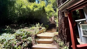 Un escalier en béton menant au sommet d’une colline, entouré d’une végétation luxuriante et d’arbres.