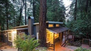 Une cabane dotée d’une terrasse, entourée de forêt.