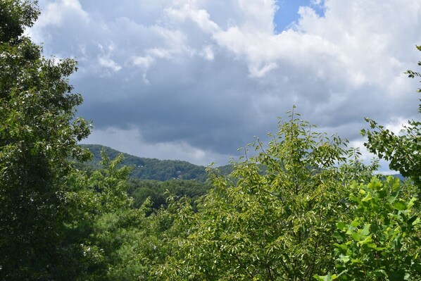 Miscellaneous - 4 bedrooms and loft sleeps 12 with view pool table 2 levels of decks and hot tub (Sevierville)