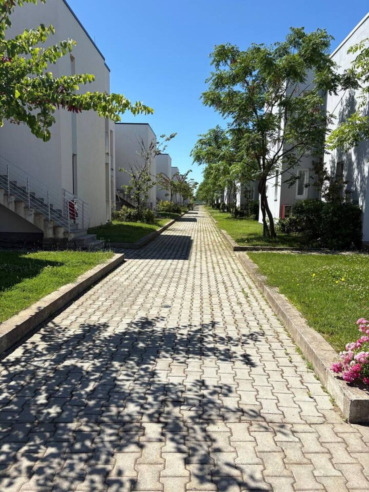 Apartment | 1 bedroom