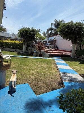 Property grounds