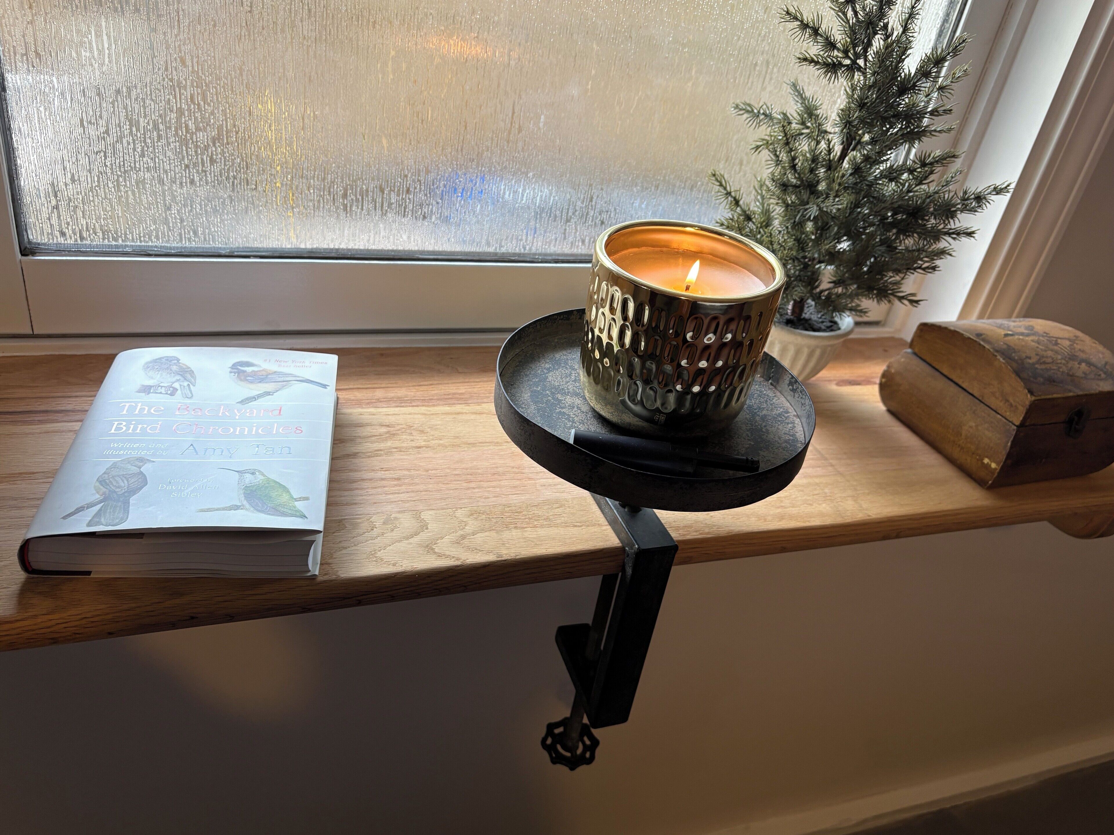 A book titled 'The Backyard Bird Chronicles' on a wooden shelf, a lit candle in a decorative holder, and a small Christmas tree.