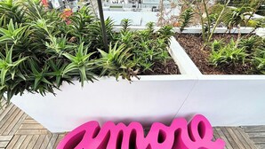 A planter with green plants and a pink sign with the word "amore" on a wooden deck.