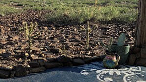 A desert landscape with a mountain in the background, a cactus, and a patterned mat on the ground. - Private Cabin Near Big Bend National Park (Alpine)