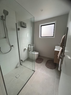 Shower, hair dryer, towels, soap