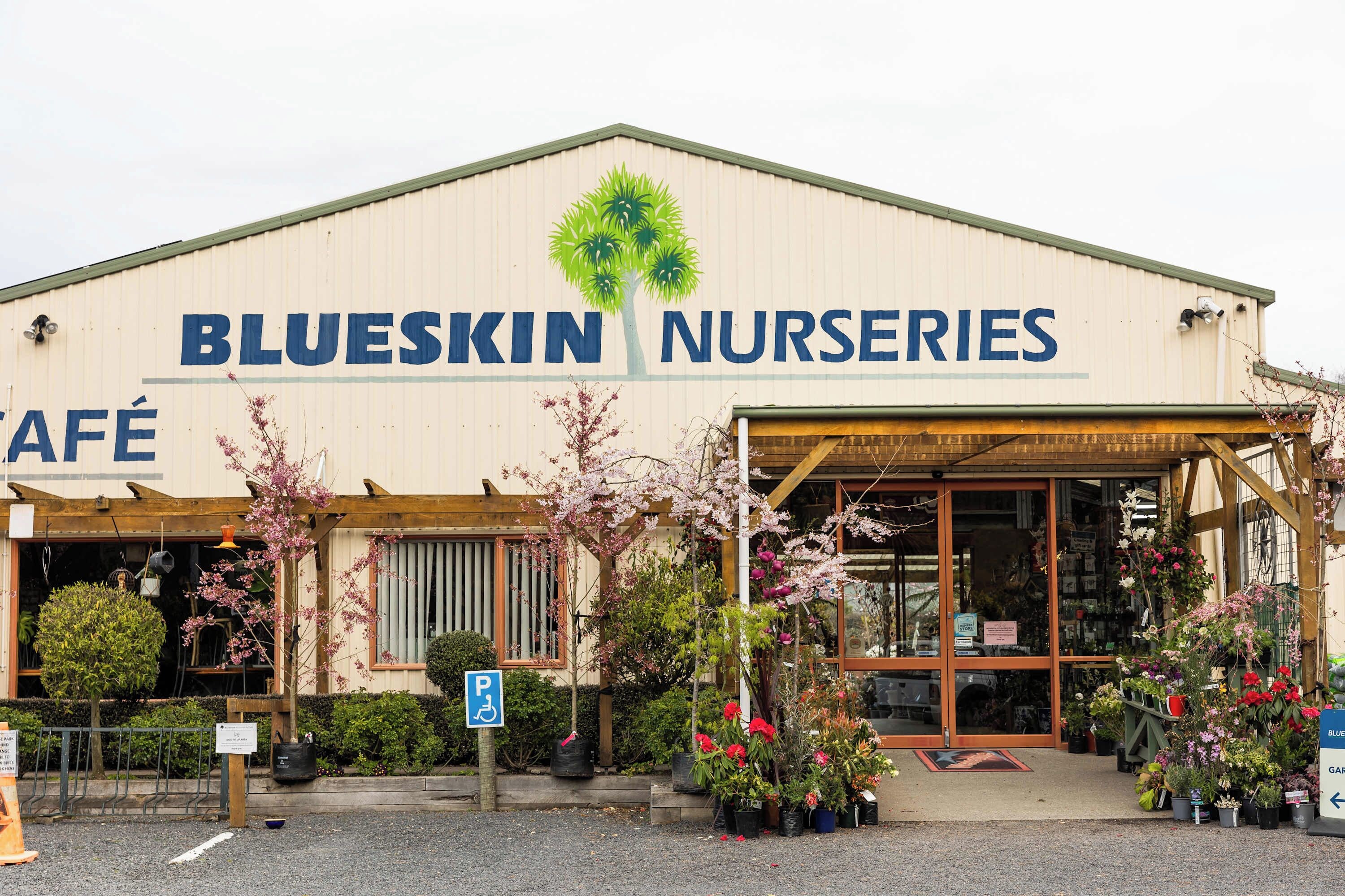 Een gebouw met borden voor 'Blueskin Nurseries' en een overdekte entree met potplanten.