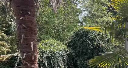 Sun drenched, beach inspired, guest suite.