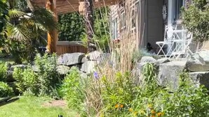 A peacock in a garden with grass, plants, and rocks.