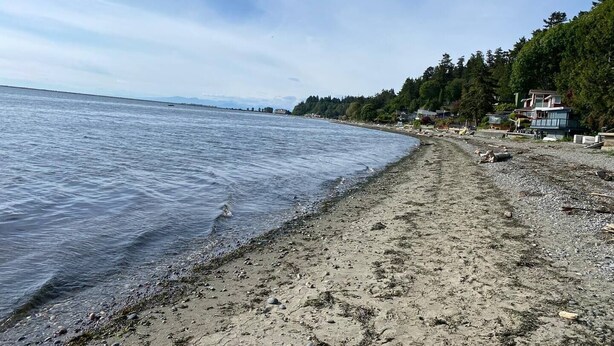 A beach with a rocky shoreline, a few houses, and a forested area in the background.