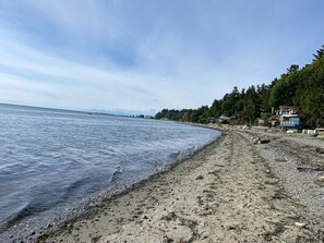A beach with a rocky shoreline, a few houses, and a forested area in the background. - Character House on Shoreline. (Delta)