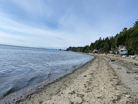 Sun-loungers, beach towels. Character House on Shoreline.