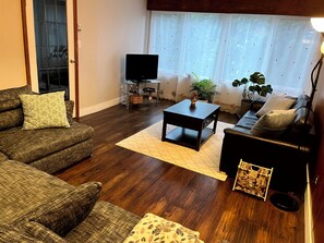 Smart-tv, eldstad, böcker och ett musikbibliotek