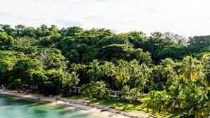 A tropical beach with clear turquoise water, palm trees, and a sandy shoreline. - HOTEL ISLA GRANDE  (Isla Grande)