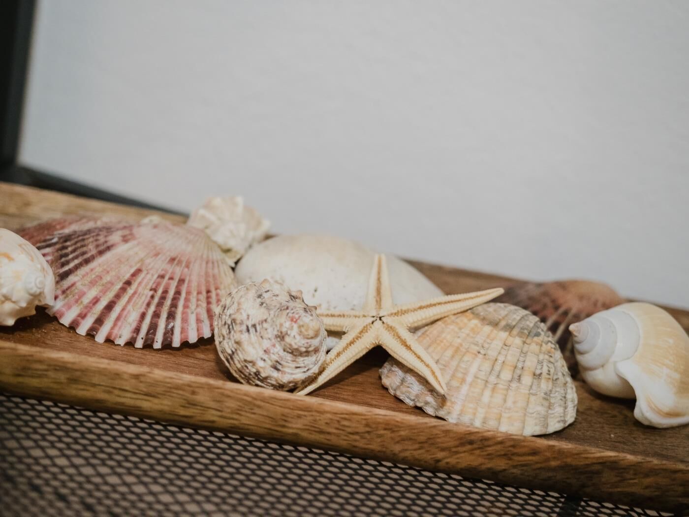Un plateau en bois contenant divers coquillages et une étoile de mer.