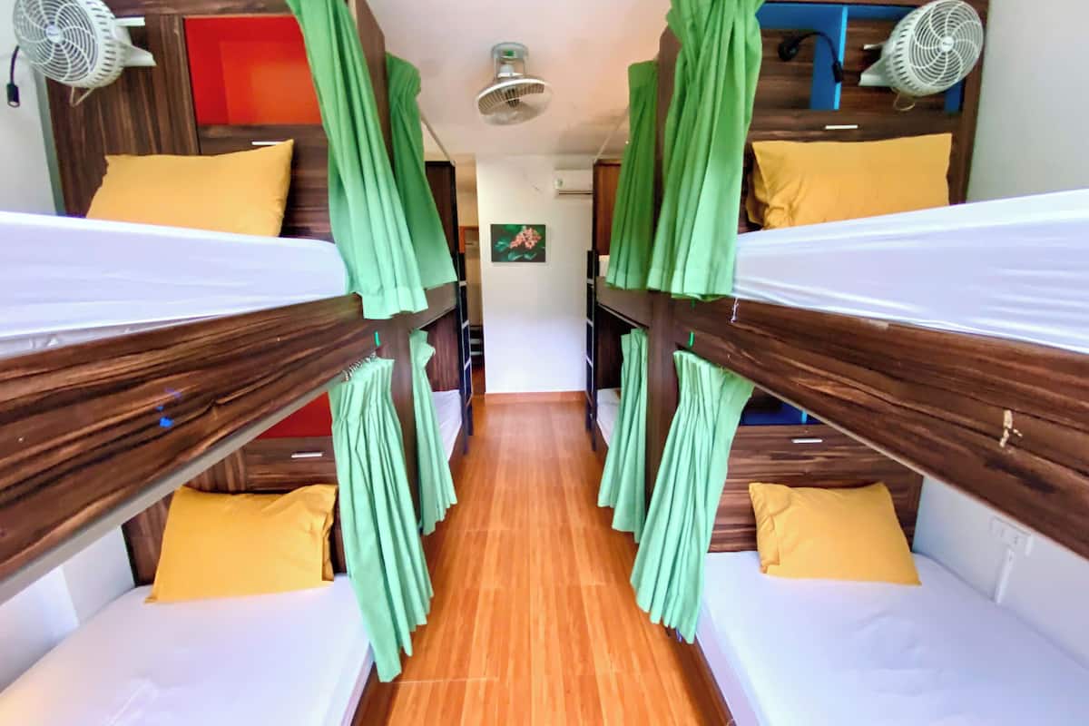 Basic Shared Dormitory | Hypo-allergenic bedding, memory foam beds, in-room safe