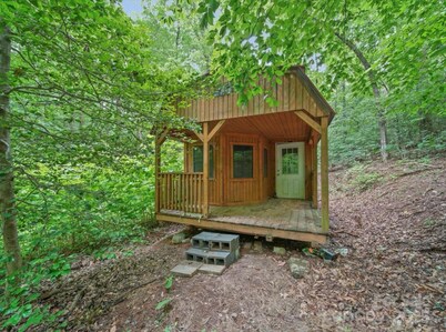 Vineyard Mountain Cottage on 7 Acres - Private yet Close to Town!