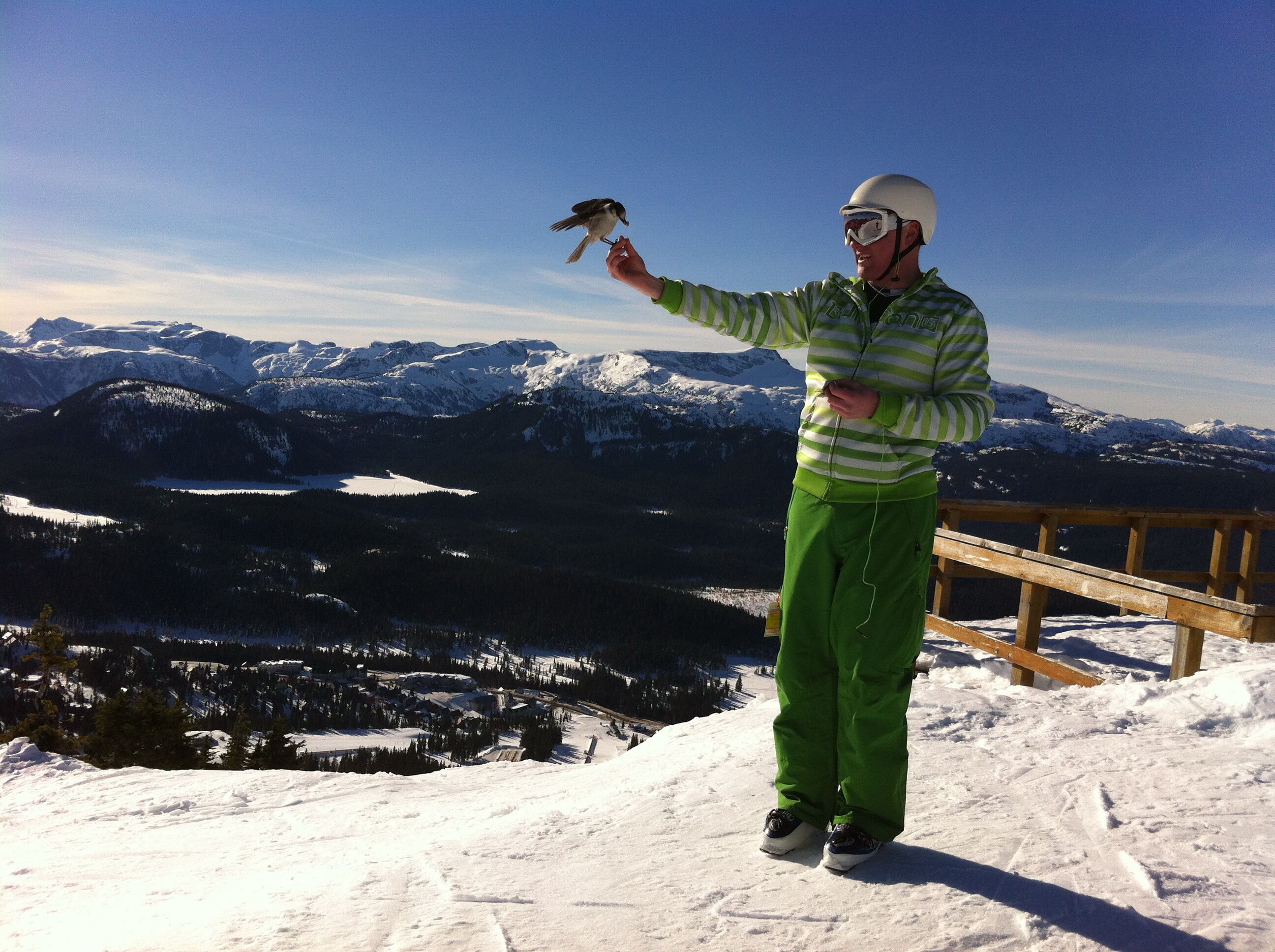 Eine Person mit grüner Jacke und Helm hält einen Vogel auf einem verschneiten Berg mit einem Holgitter und Blick auf schneebedeckte Berge.
