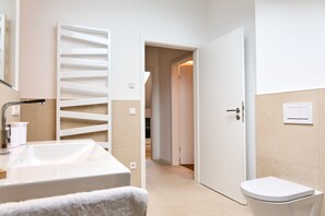 Shower, hair dryer, towels