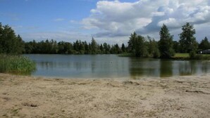 Une vue sur un lac, avec une plage de sable, des arbres et un ciel partiellement nuageux.
