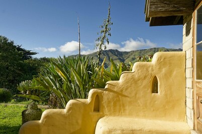 The Mud House— earth studio in Pigeon Bay with views, wood-fired sauna & bath!