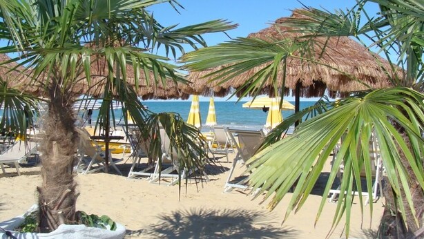 Une plage avec des parasols en chaume, des palmiers et des chaises longues.