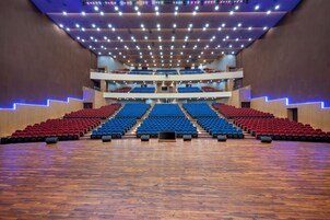 Un auditorio de varios niveles con asientos escalonados y un escenario central.