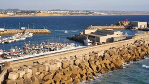 A coastal marina with boats docked, a breakwater, and buildings in the background.