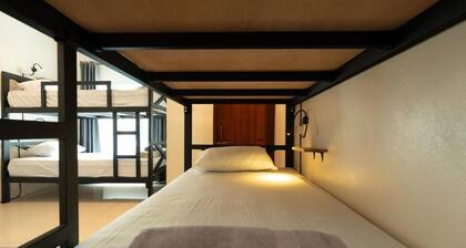 Tibe & Tribe Phangan Hostel