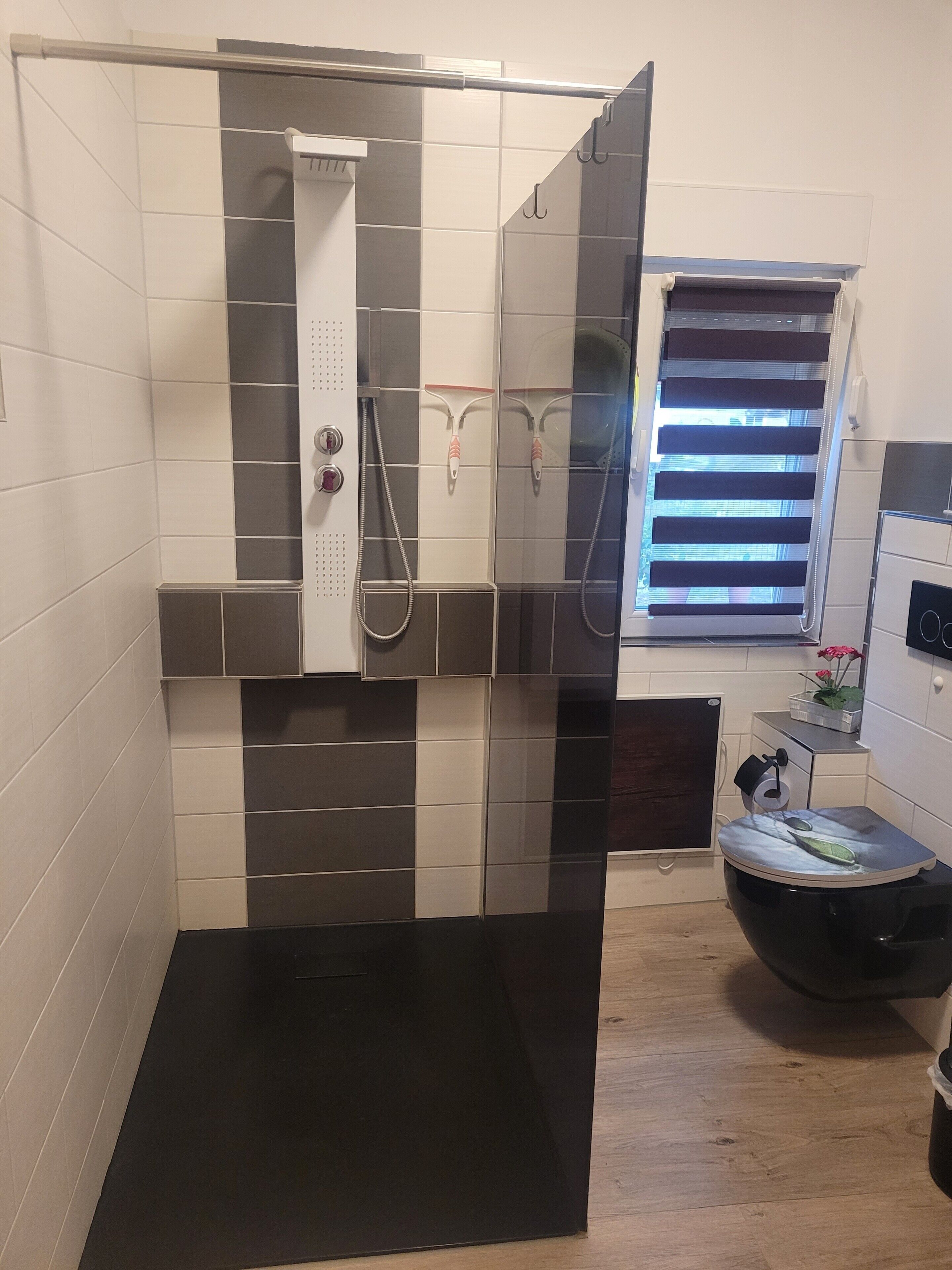 Shower, free toiletries, hair dryer