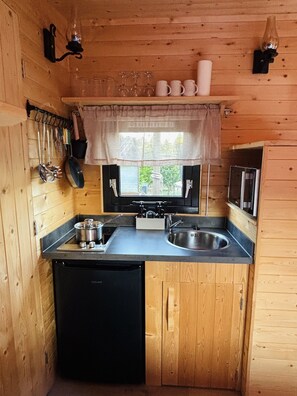 Frigorífico, microondas, placa de cocina y cafetera o tetera