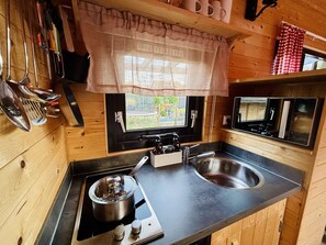 Réfrigérateur, micro-ondes, plaque de cuisson, cafetière/bouilloire