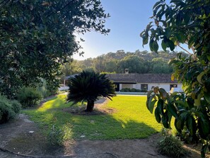 Property grounds - Chalet 'Finca El Búho Oak Natural Park' with Natural Park Views, Wi-Fi & Air Conditioning (Cañada Real)