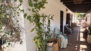 Terraza o patio