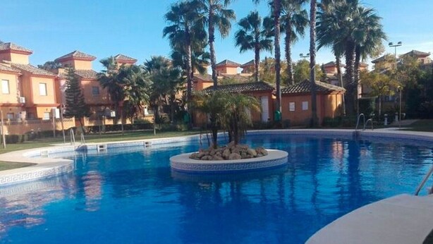 Una piscina con una isla circular en el centro, rodeada de palmeras y edificios.