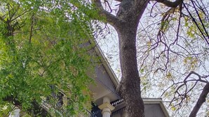A building with a green signboard, a large tree, and a balcony. - VARSHA ENCLAVE WHITE HOUSE (Mysore)